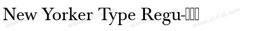 New Yorker Type Regu字体转换